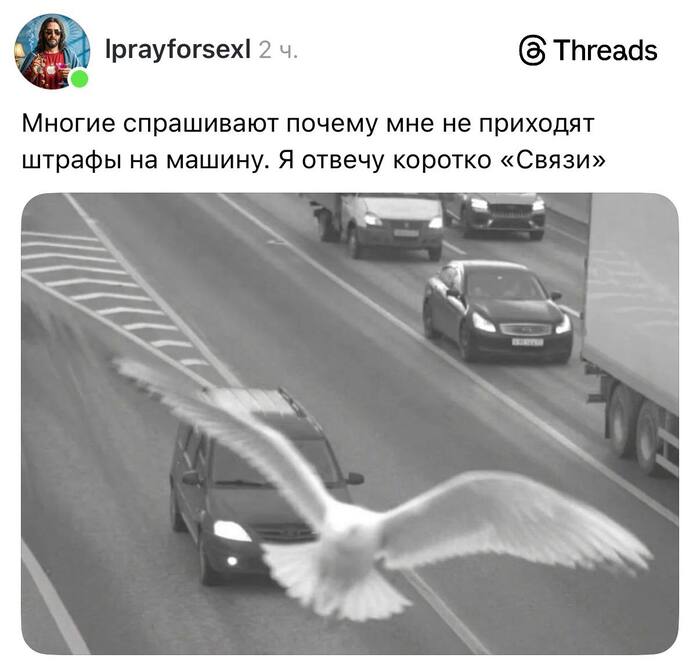 ������ ������� �� �������� ���