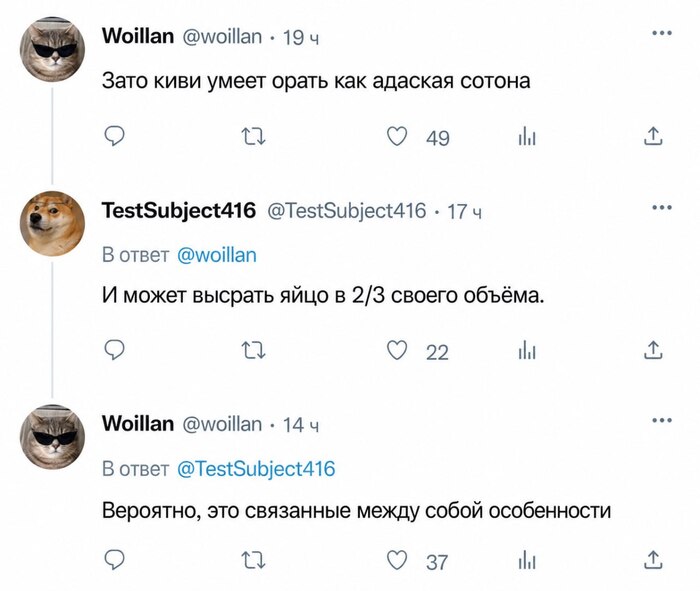 X ��������������