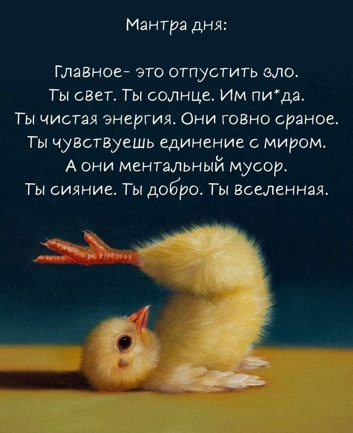 ������ ���