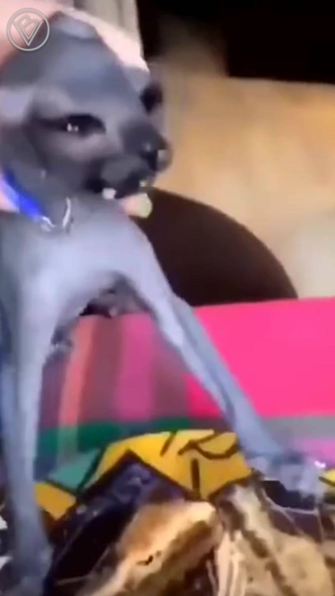 ������������
