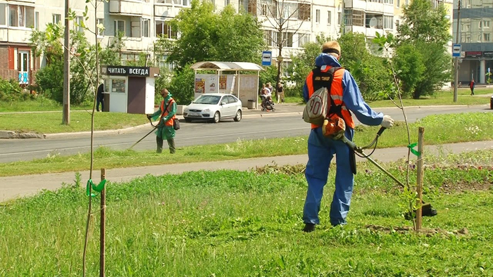 Звуки лета