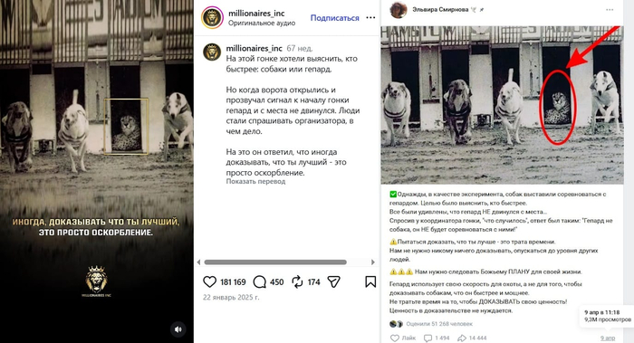 Скриншоты постов с сайтов <!--noindex--><a href="https://pikabu.ru/story/pravdiva_li_istoriya_o_geparde_kotoryiy_otkazalsya_sorevnovatsya_s_sobakami_13972178?u=http%3A%2F%2Fvk.com&t=vk.com&h=cd9a2a70ff8c3548212fbf85b3637ac228e06cbc" title="http://vk.com" target="_blank" rel="nofollow noopener">vk.com</a><!--/noindex--> и <!--noindex--><a href="https://pikabu.ru/story/pravdiva_li_istoriya_o_geparde_kotoryiy_otkazalsya_sorevnovatsya_s_sobakami_13972178?u=http%3A%2F%2Finstagram.com&t=instagram.com&h=8464e357fd899a4f3163445db9a4846b3699fce6" title="http://instagram.com" target="_blank" rel="nofollow noopener">instagram.com</a><!--/noindex-->