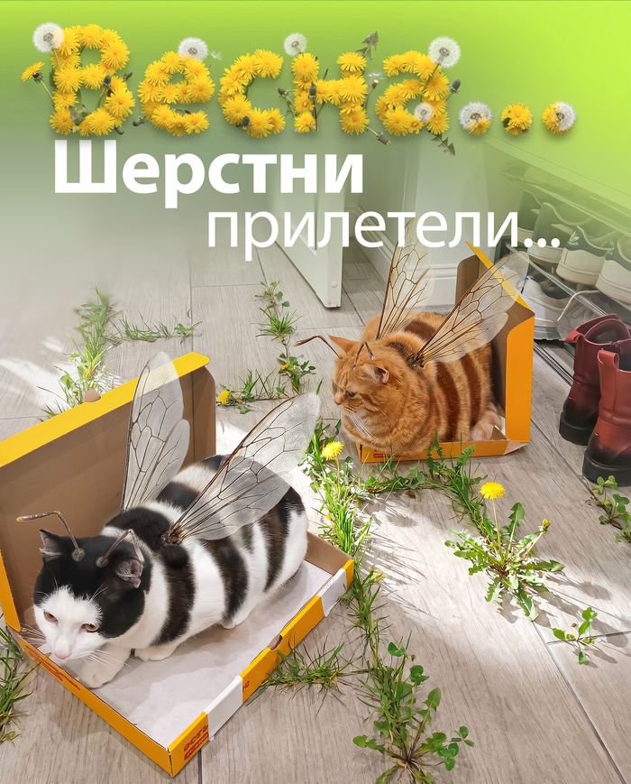 ... � ���������������