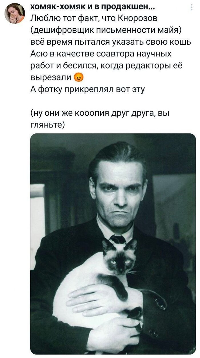 ��� ��� � ����� �������� ������� ����