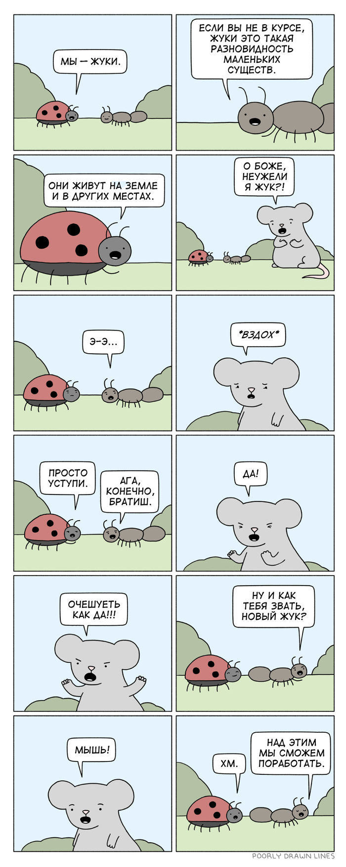 �� -- ����