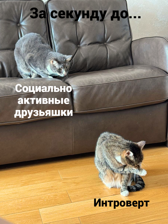 �� ������)