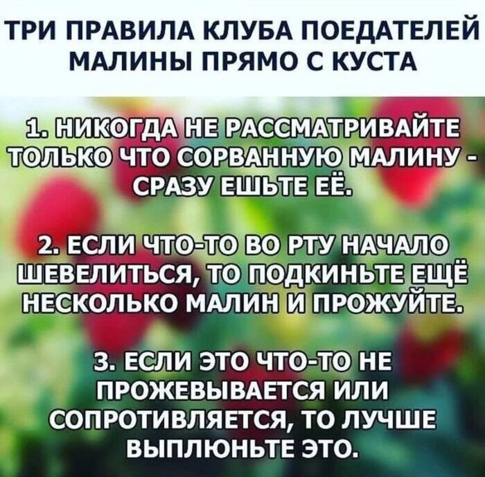 ����� ������ ���������