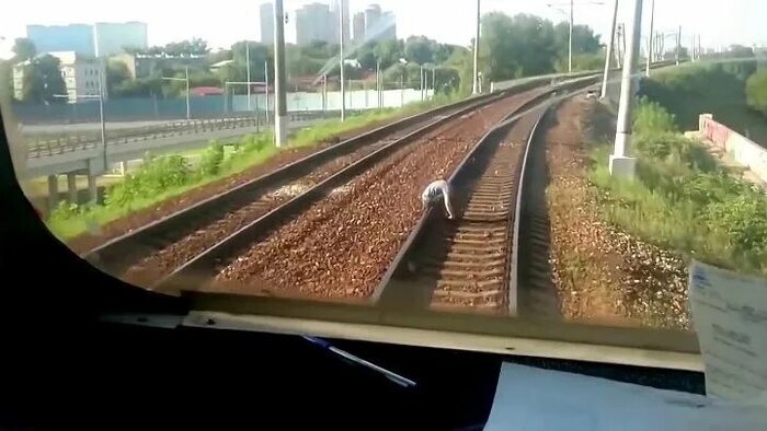 ����� �� ���� ��������� �����