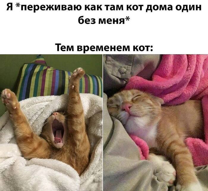 Единственный, кто реально отдыхает, когда я ухожу из дома