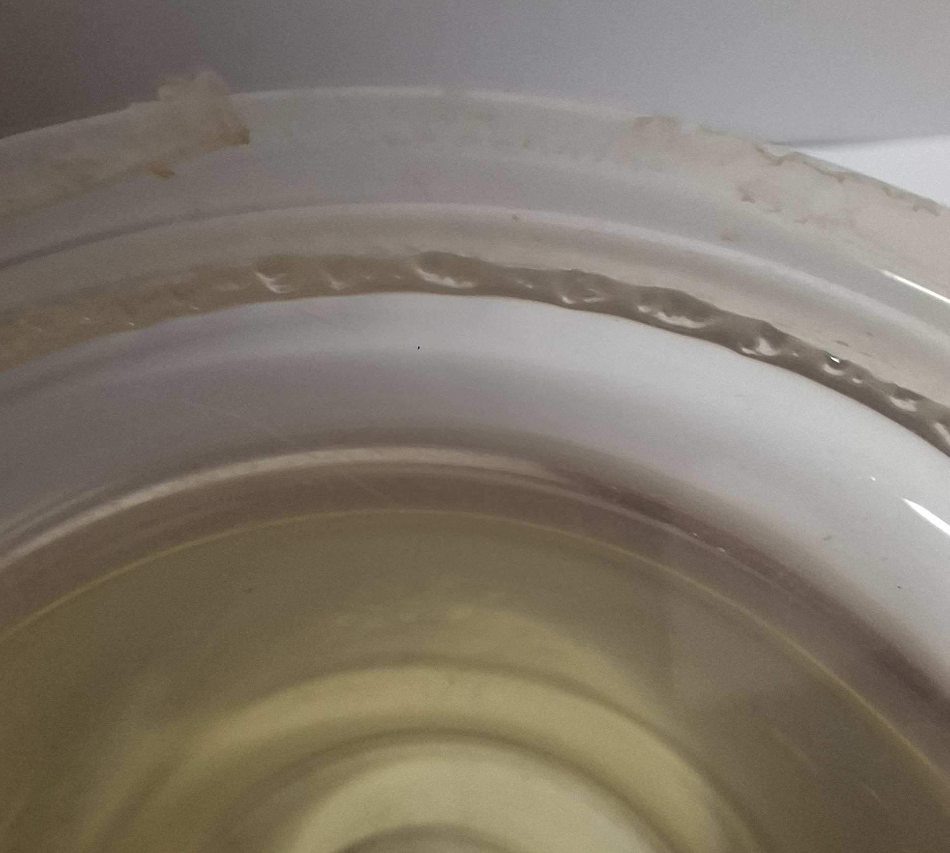 Experiments. Oil evaporation. Six months. - Series Experiments, My, Experiment, Sunflower oil, Evaporation, Long, Physics, British scientists, Longpost