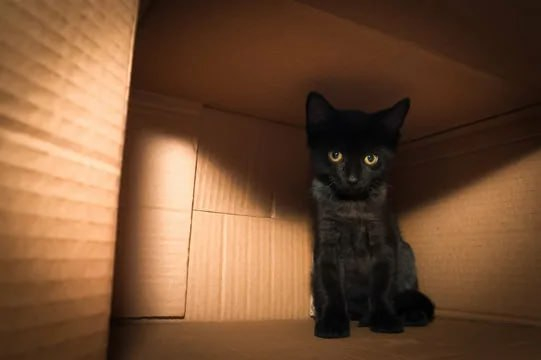 �����: ��� � ���