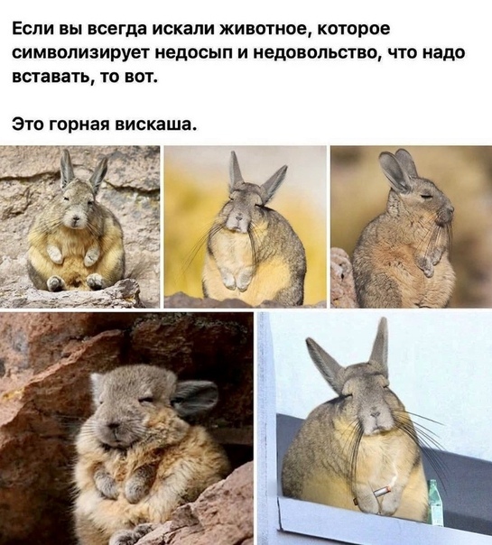 ��, �����