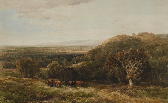 Near Richmond, Yorkshire (1877)
