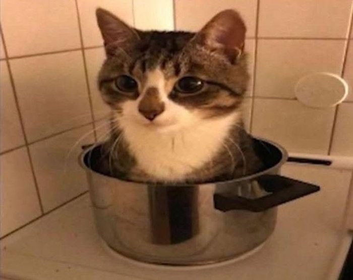 ������ ������ ������ �� ������� �� ��-�� ����