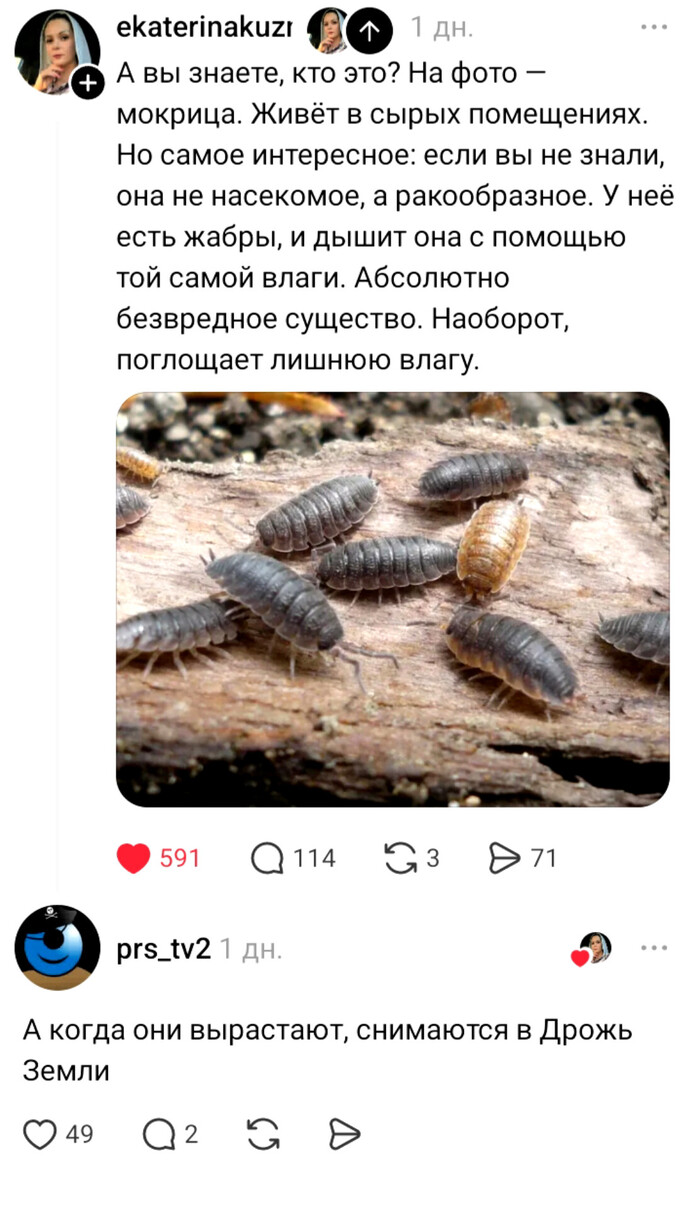 � ����� ��� ���������...