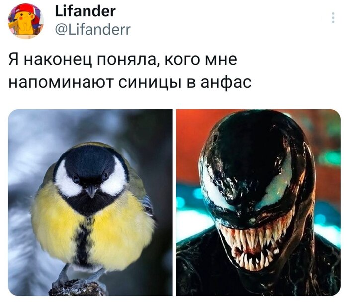 ��� ��� ����������