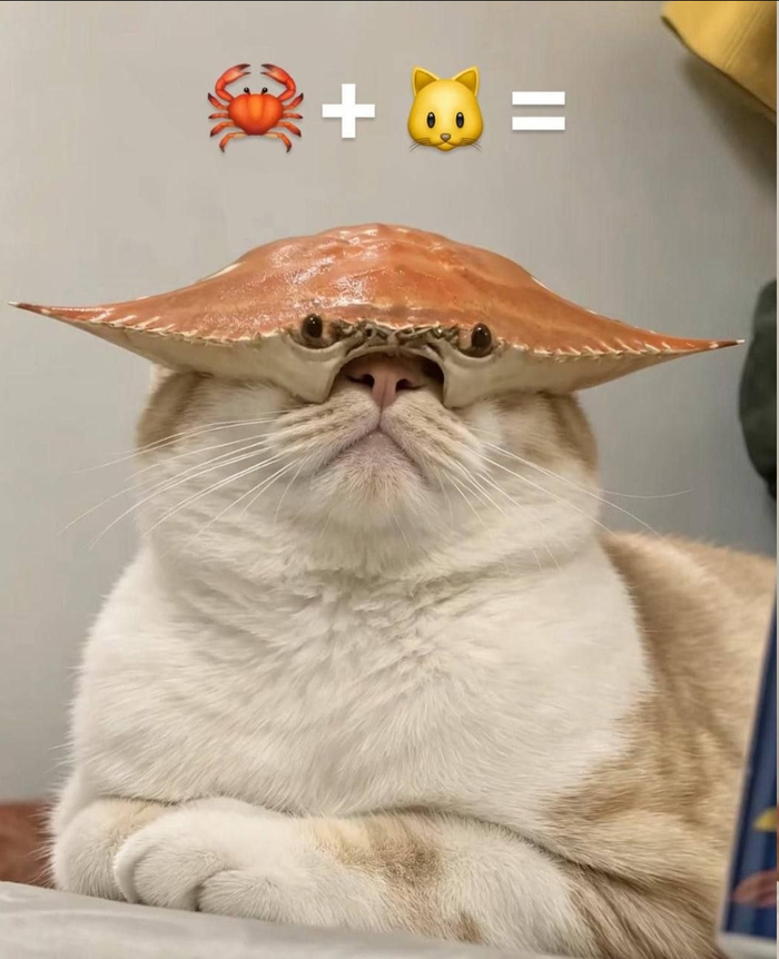 ����+���=