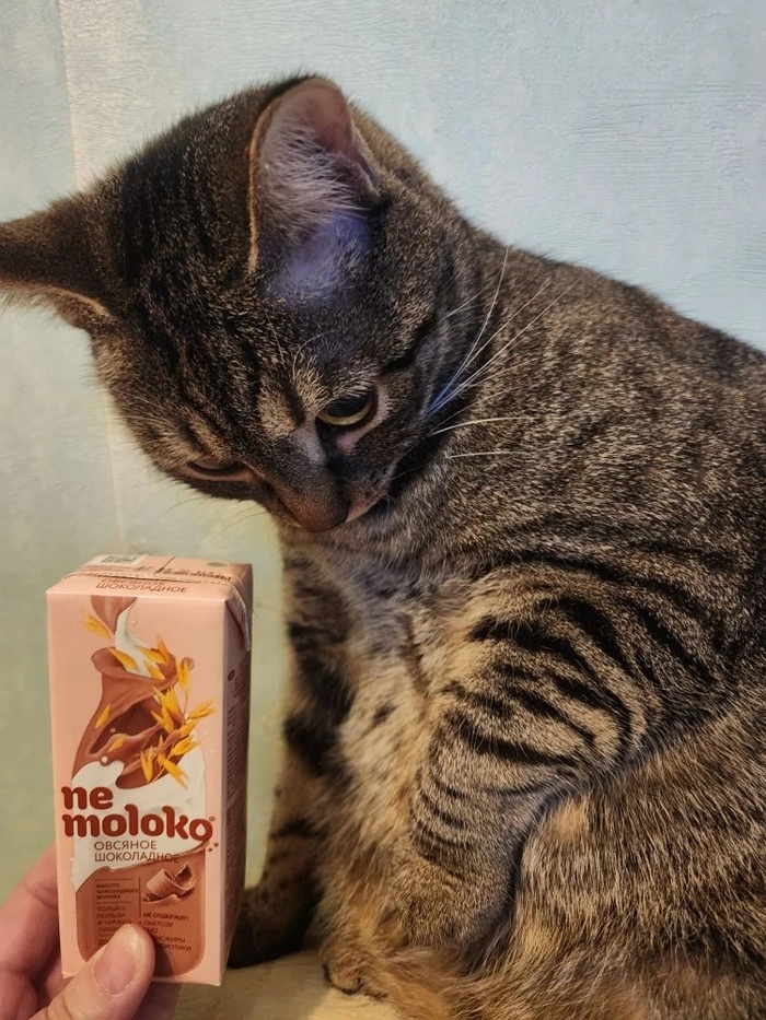 Нас не проведёшь!