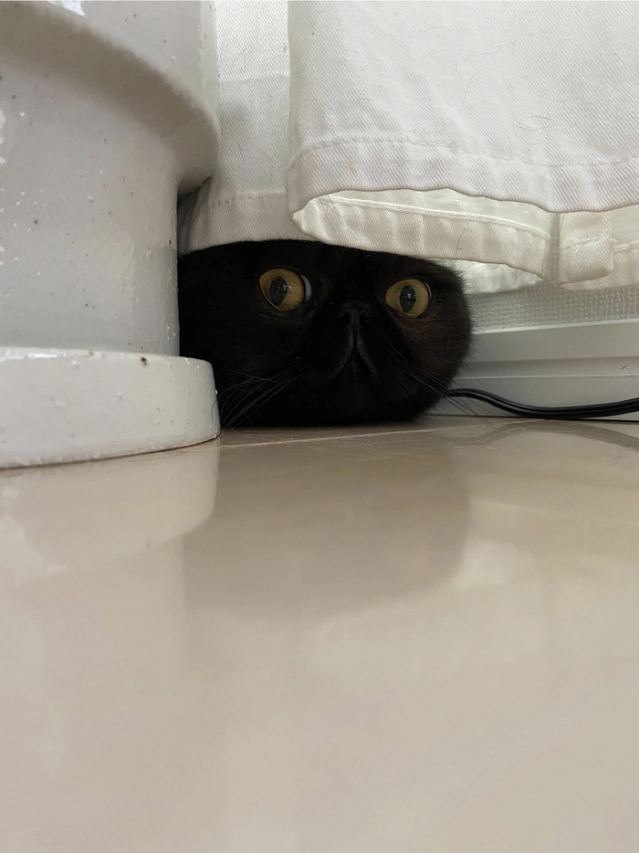 ��� ���