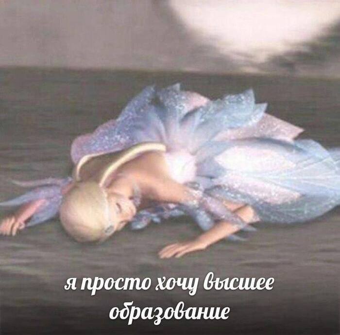 � ���� �� ������