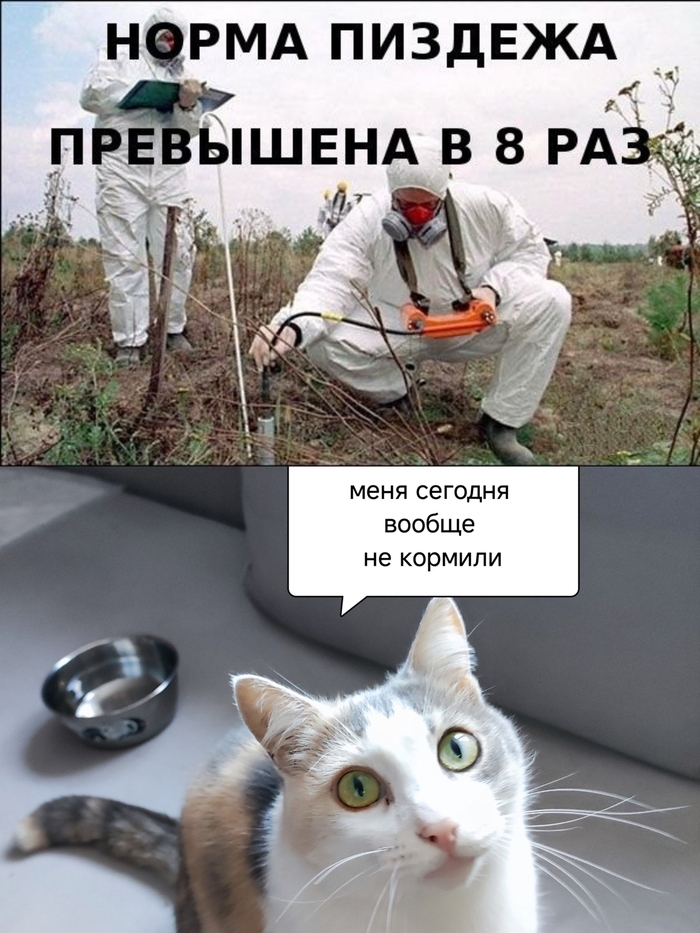 ���� ��������� �����
