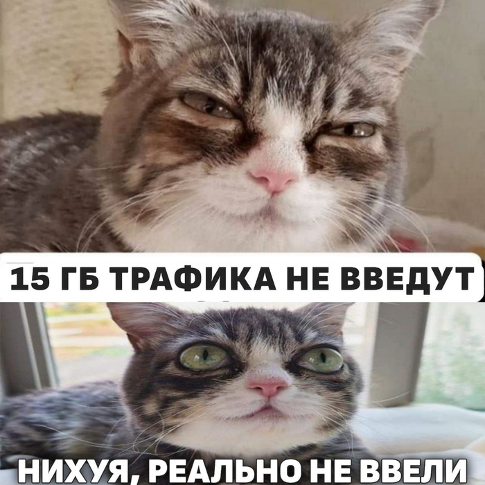 ����� �� ���� ��������� ����� �� VPN-������ ������� �� ����� ����� ������� � �������