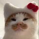 Аватар пользователя labewu