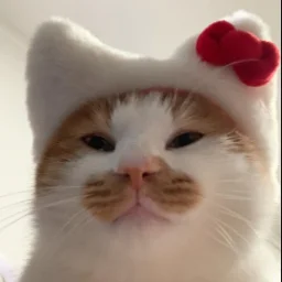 labewu