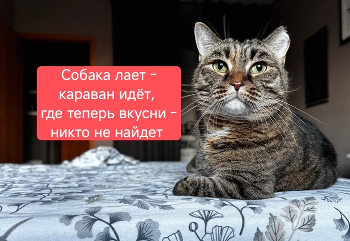 ����������! ����� � ����