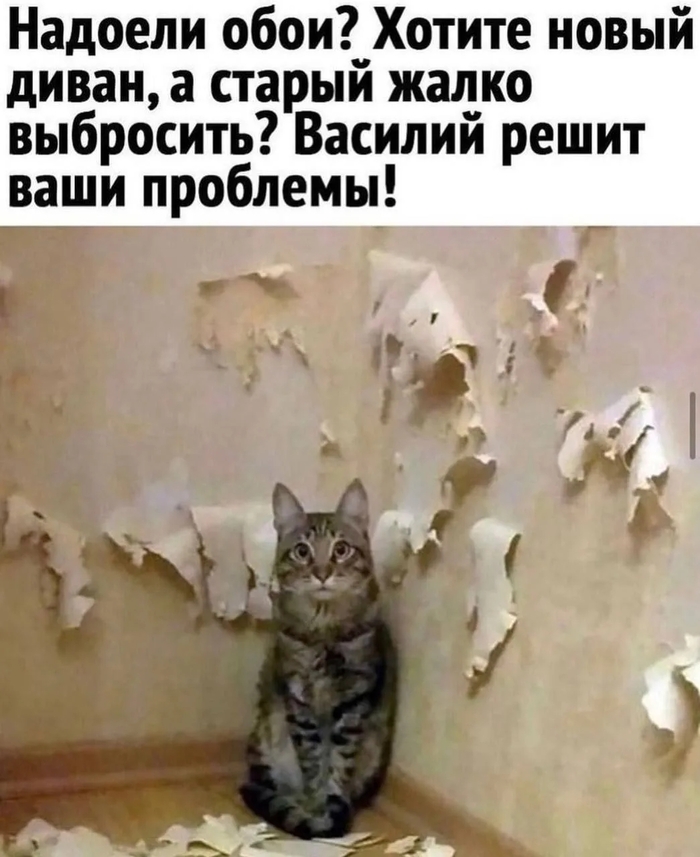 ����� ���������� ��� � ��������� 2.8