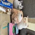 user11855610