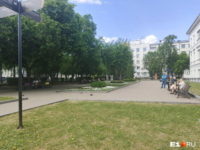 Источник: Анастасия Копыркина / <!--noindex--><a href="https://pikabu.ru/story/ryadom_parochki_sidyat_na_skameechkakh_v_ekaterinburge_nedaleko_ot_ploshchadi_1905_goda_nashli_visyashchiy_trup_muzhchinyi_14000673?u=http%3A%2F%2FE1.RU&t=E1.RU&h=d14cb2f4849bc246a517d6332b909846dc263a36" title="http://E1.RU" target="_blank" rel="nofollow noopener">E1.RU</a><!--/noindex-->