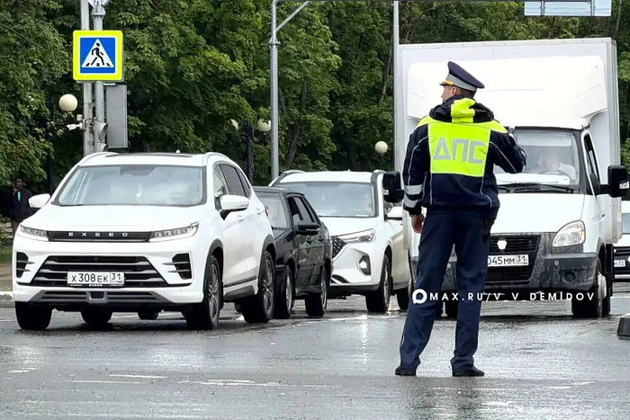 Фото: пресс-служба администрации Белгорода