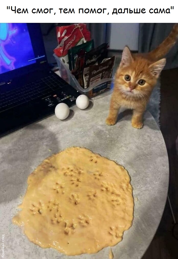 ��� ����
