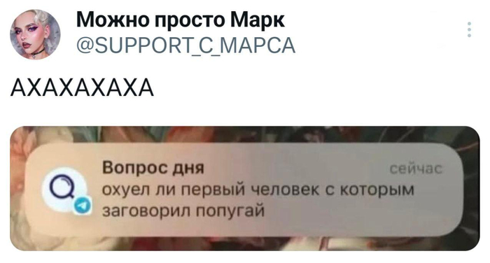 ������ ���