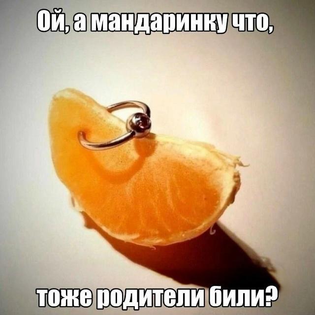 ��������????