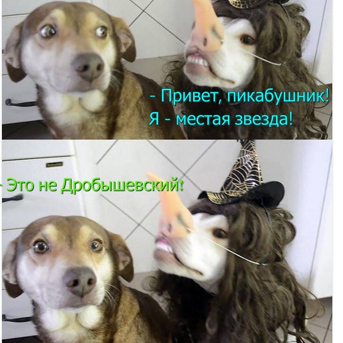 � ������� �������, �� ������������