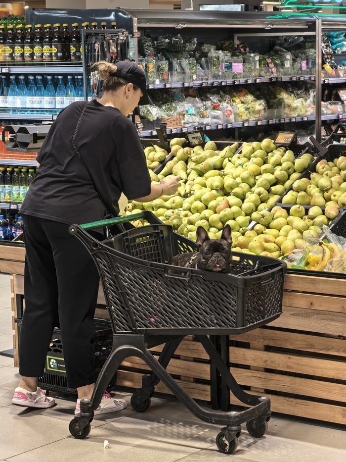 200 ������ �� ���� Packham Pears