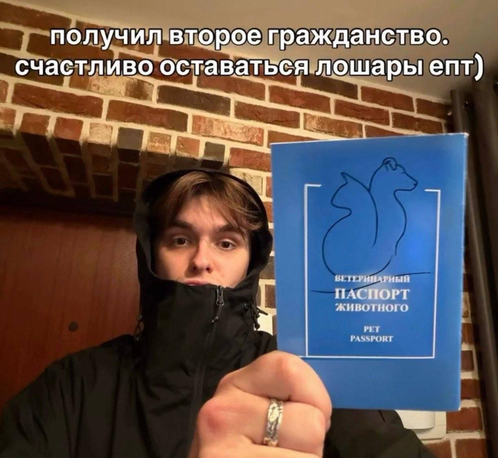 ������� ������ �����������