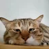 Siberyak