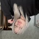 ������ ������������ Deadkat