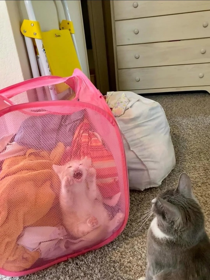 ��������!