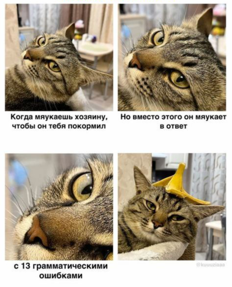 ������, ��� �� �� ����� ������� ���� ���� �������� ����
