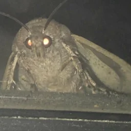 weirdguywithscis