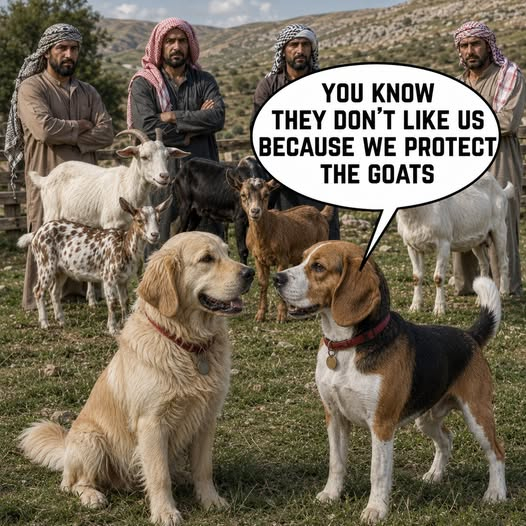 � ����������� ����������