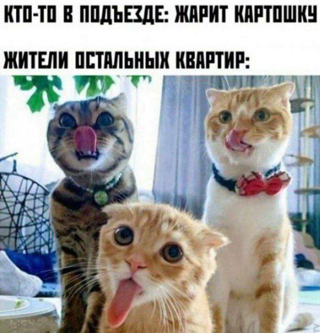 ������������ ���� ���� ����