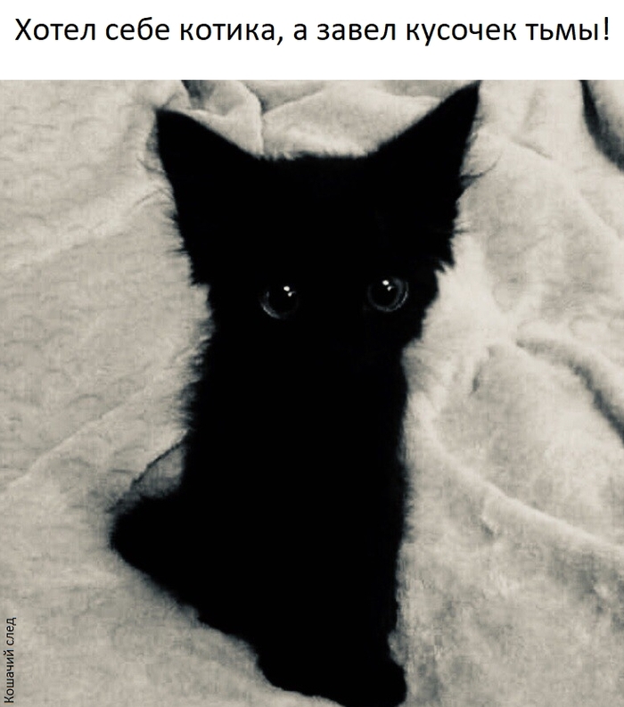 ������� ����