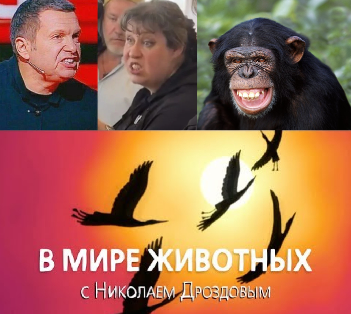 ����� Skufandr � ������, ������
