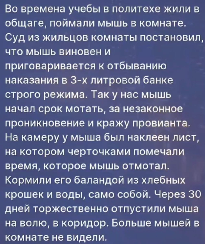Мышь уголовник...