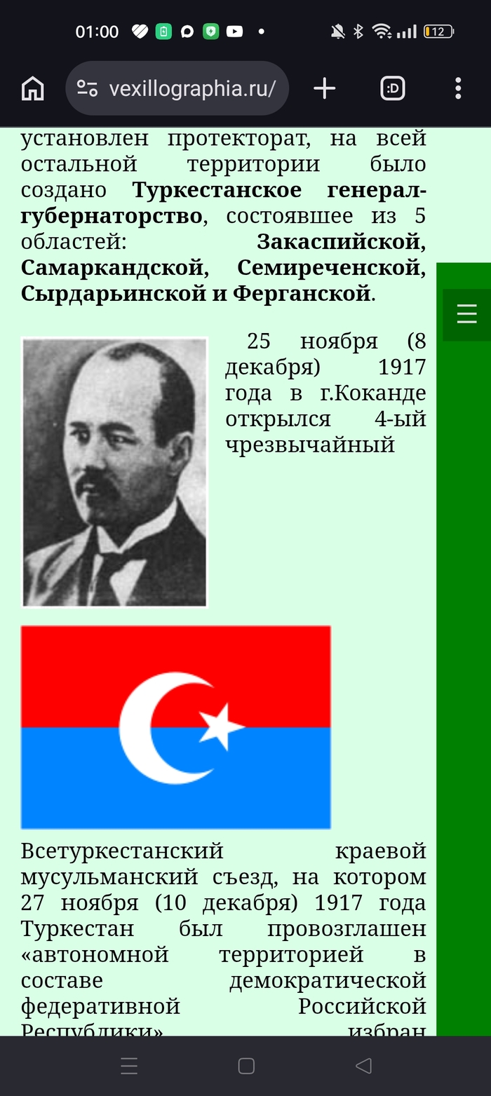 Флаг "Туркестана"